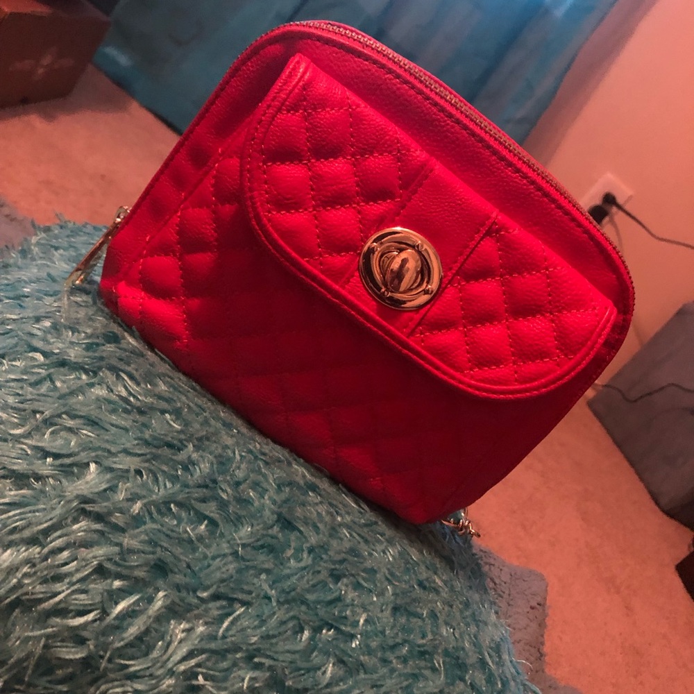 Steve Madden purse